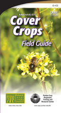 cover crops field guide